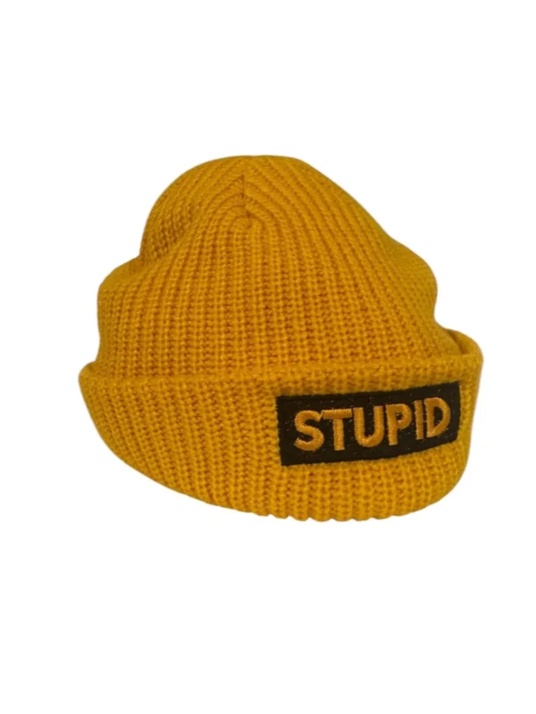 Stupid Beanie