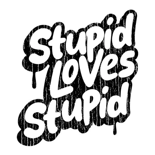 Stupid Loves Stupid
